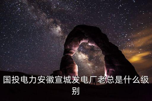 國電投什么級別，中國國電集團是什么級別