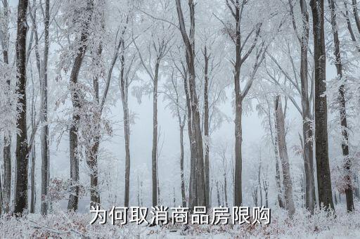 為什么要取消限購，為何又要取消房屋限購