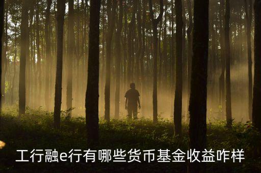 工行網(wǎng)銀有什么貨幣基金，工行融e行有哪些貨幣基金收益咋樣