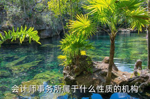 鄭商所期衍所屬于什么性質(zhì)，會計師事務所屬于什么性質(zhì)的機構(gòu)