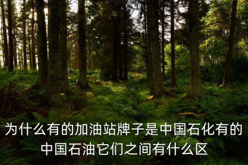 為什么中石化和中石油不，中石油中石化中海油為什么不合并