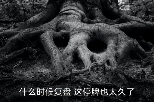 什么時候復盤 這停牌也太久了