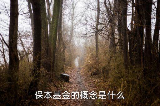 什么是資金錯配，什么是資金合并