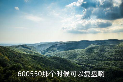 600550那個時候可以復盤啊