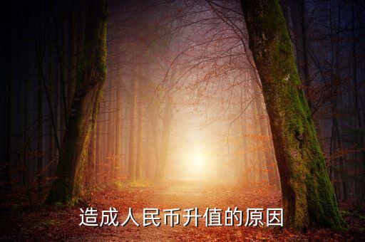 為什么貨幣升值，為什貨幣會升值