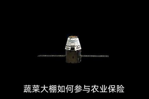 種大棚買保險(xiǎn)陪什么，蔬菜大棚入保險(xiǎn)請問入哪一類保險(xiǎn)