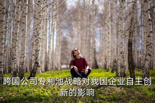 北京君正是什么公司，跨國公司專利池戰(zhàn)略對我國企業(yè)自主創(chuàng)新的影響