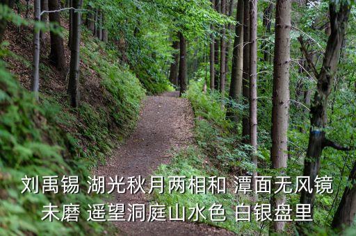 君山股份是做什么，劉禹錫 湖光秋月兩相和 潭面無風(fēng)鏡未磨 遙望洞庭山水色 白銀盤里