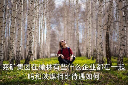 兗州煤業(yè)公司經(jīng)營什么，兗礦集團在榆林有些什么企業(yè)都在一起嗎和陜煤相比待遇如何
