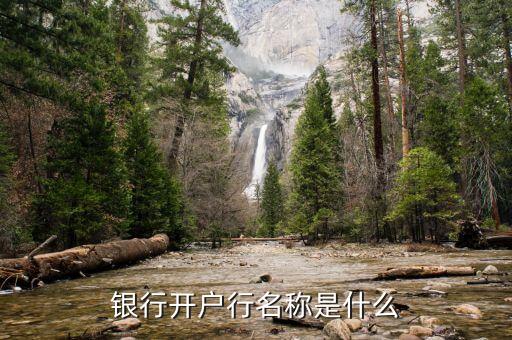 銀行開(kāi)戶(hù)行名稱(chēng)是什么