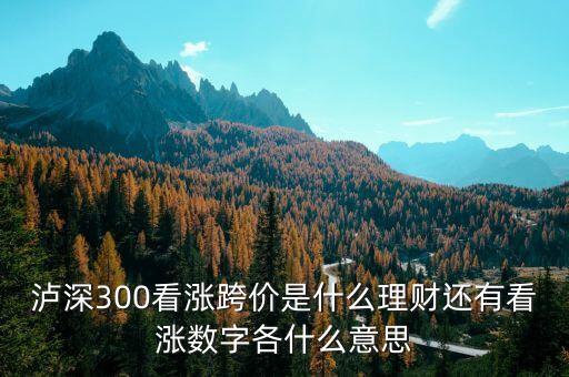 看漲跨價(jià)什么意思，理財(cái) 滬深300看漲跨價(jià)好不好