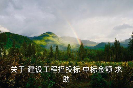 中標(biāo)金額是什么，關(guān)于 建設(shè)工程招投標(biāo) 中標(biāo)金額 求助