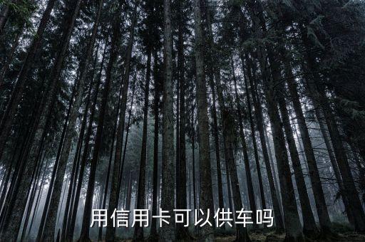 供車用什么信用卡，用信用卡可以供車嗎