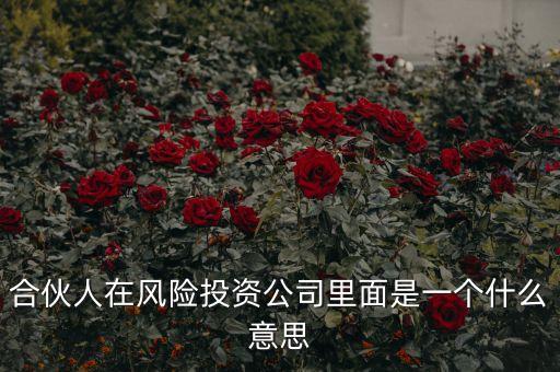vc合伙人是什么，風(fēng)險(xiǎn)投資公司中的合伙人和經(jīng)理人都是什么意思