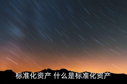 標準化資產(chǎn) 什么是標準化資產(chǎn)