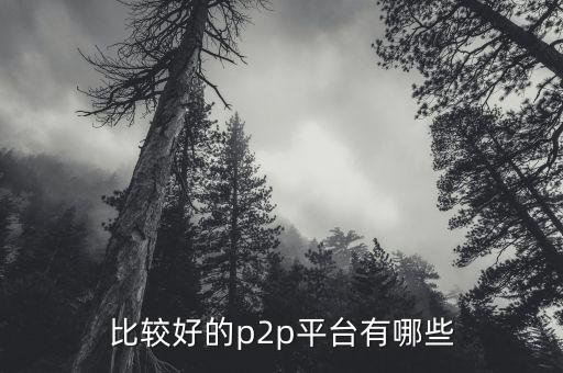 什么p2p平臺比較靠譜，請問國內(nèi)P2P平臺哪家比較安全可靠點(diǎn)想了解下