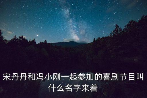 宋丹丹馮小剛的評委節(jié)目是什么，歡樂喜劇人評委都有誰
