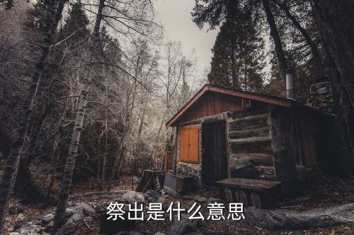 祭出重拳什么意思，重拳是甚么意思