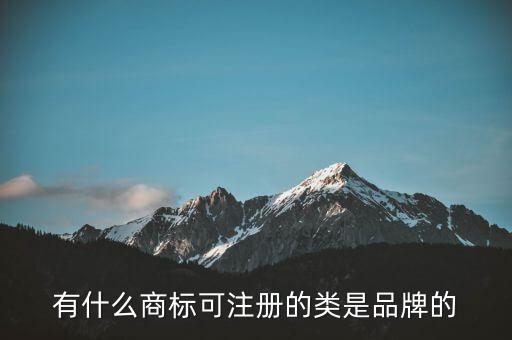 劉陽的全盛集團的注冊商標是什么，有什么商標可注冊的類是品牌的
