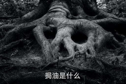 粵油是什么，輕質(zhì)油在炒原油里的什么油比如什么大連油粵油