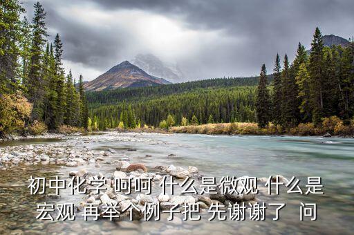 什么是宏觀事實，初中化學(xué) 呵呵 什么是微觀 什么是宏觀 再舉個例子把 先謝謝了  問