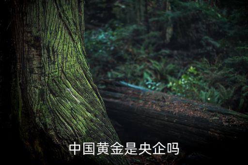 中國(guó)黃金為什么是央企品牌，中國(guó)黃金在各城市的店鋪是中國(guó)黃金直營(yíng)的還是加盟的如果是直營(yíng)