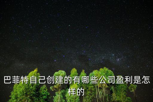 巴菲特是想收購中國的什么公司，巴菲特自己創(chuàng)建的有哪些公司盈利是怎樣的