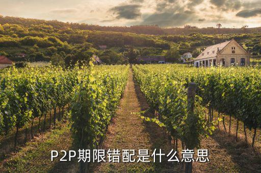 什么是久期錯配，什么是期限錯配