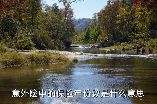保險(xiǎn)數(shù)目指什么，意外險(xiǎn)中的保險(xiǎn)年份數(shù)是什么意思