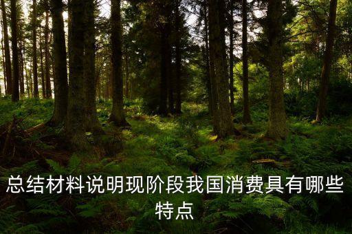 從材料的數(shù)據(jù)中反映了當(dāng)前消費的什么特點，總結(jié)材料說明現(xiàn)階段我國消費具有哪些特點