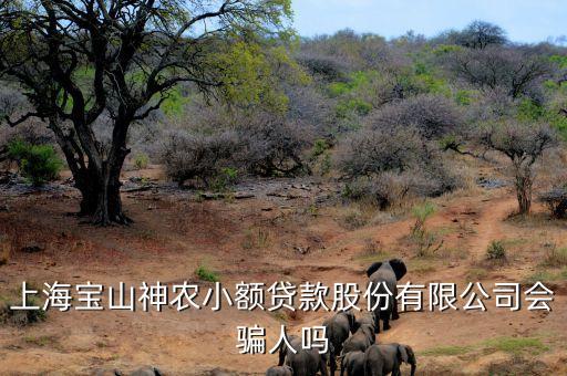 上海神農(nóng)小額貸款公司經(jīng)理叫什么，上海寶山神農(nóng)小額貸款股份有限公司會(huì)騙人嗎