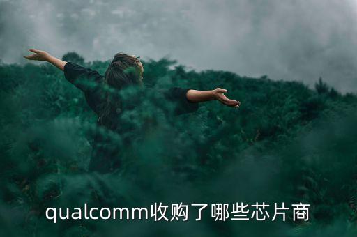 保千里收購什么公司，保千里股票以前叫什么