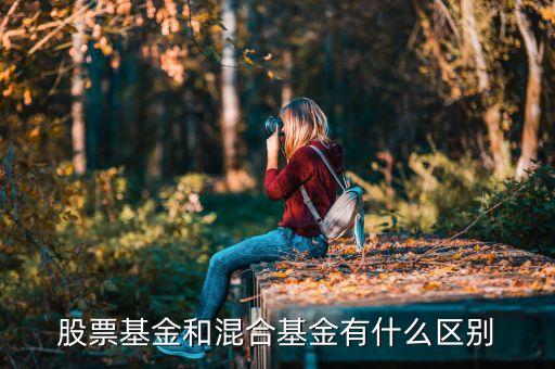 混合基金和股票基金有什么區(qū)別，混合基金和股票基金的區(qū)別在哪