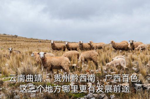 云南曲靖、 貴州黔西南、廣西百色,這三個地方哪里更有發(fā)展前途
