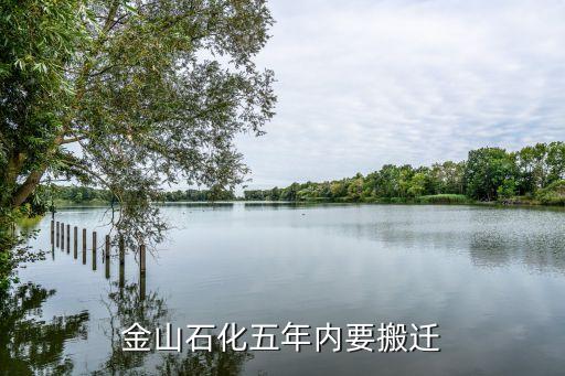 上?；瘜W(xué)工業(yè)區(qū)總體規(guī)劃,洪江市工業(yè)區(qū)總體規(guī)劃