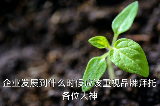 企業(yè)發(fā)展到什么時(shí)候應(yīng)該重視品牌拜托各位大神