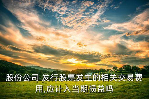 發(fā)行股票凍結期間的利息收入,公司發(fā)行股票凍結期間所產生的利息收入應
