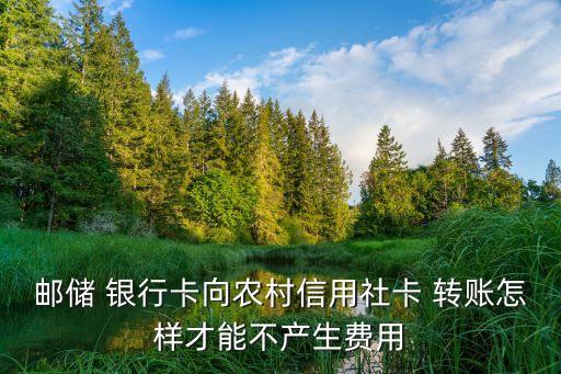 郵儲(chǔ) 銀行卡向農(nóng)村信用社卡 轉(zhuǎn)賬怎樣才能不產(chǎn)生費(fèi)用