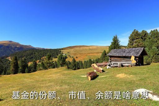  基金的份額、 市值、余額是啥意思