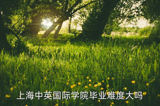 上海中英國(guó)際學(xué)院畢業(yè)難度大嗎