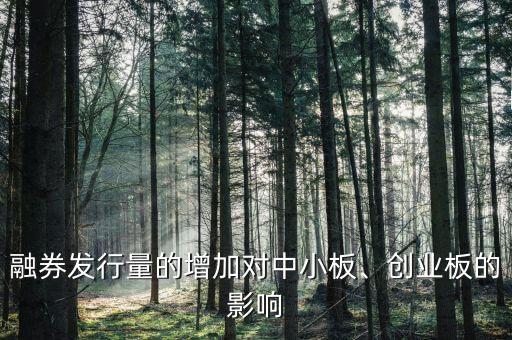 融券發(fā)行量的增加對(duì)中小板、創(chuàng)業(yè)板的影響