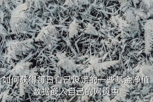 如何獲得每日自己設定的一些基金凈值數據嵌入自己的網頁中