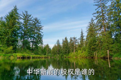中華新能的股權(quán)是誰(shuí)的