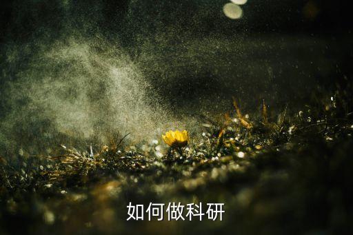 上?？苿?chuàng)杯