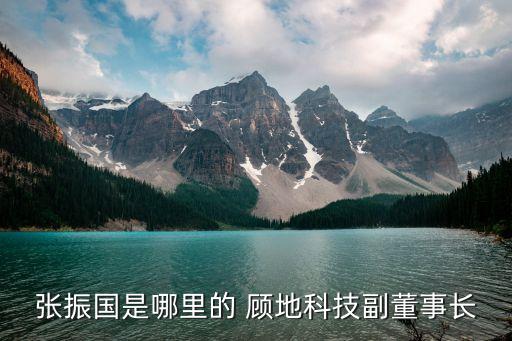 張振國是哪里的 顧地科技副董事長(zhǎng)