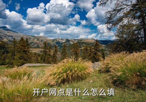  開(kāi)戶(hù)網(wǎng)點(diǎn)是什么怎么填