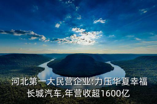  河北第一大民營(yíng)企業(yè):力壓華夏幸福長(zhǎng)城汽車(chē),年?duì)I收超1600億