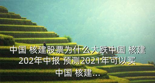 中國(guó) 核建股票為什么大跌中國(guó) 核建202年中報(bào) 預(yù)測(cè)2021年可以買中國(guó) 核建...