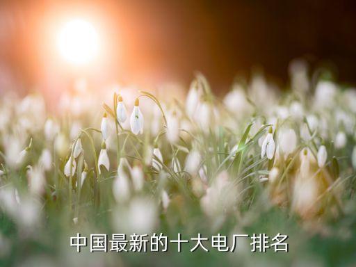 ?；涬娏ν顿Y