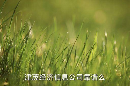 津茂經濟信息公司靠譜么